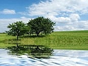 wasser